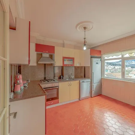 Spacious Duplex Near Sapanca Lake With Calming View *